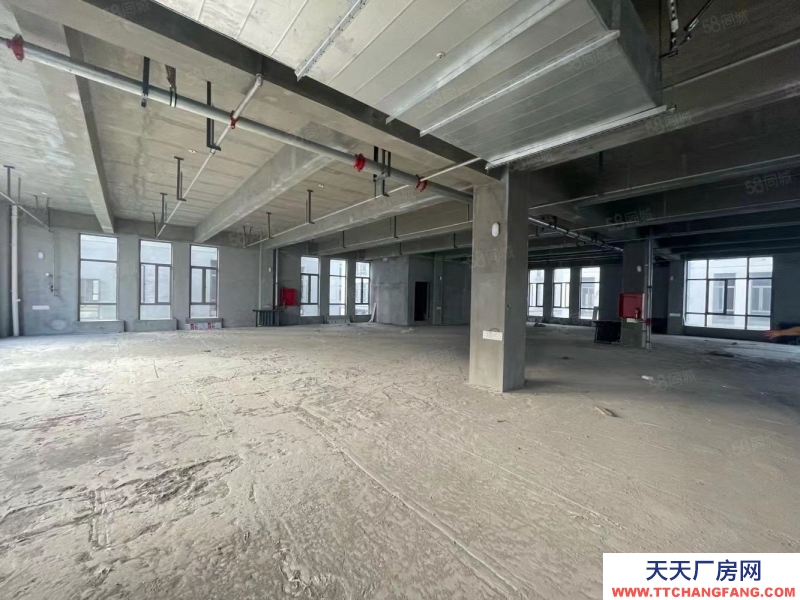 單層框架廠房 層高12.5米 50年產(chǎn)權(quán) 入園即可辦證