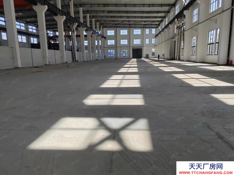 單層框架廠房 層高12.5米 50年產(chǎn)權(quán) 入園即可辦證