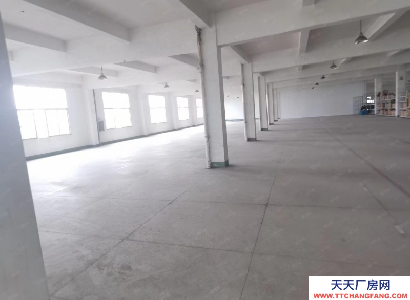 單層框架廠房 層高12.5米 50年產(chǎn)權(quán) 入園即可辦證