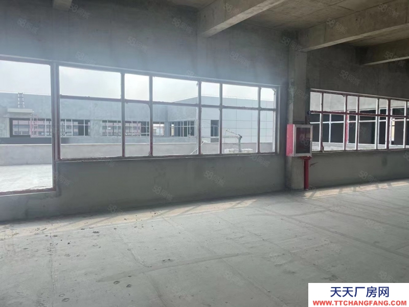 單層框架廠房 層高12.5米 50年產(chǎn)權(quán) 入園即可辦證