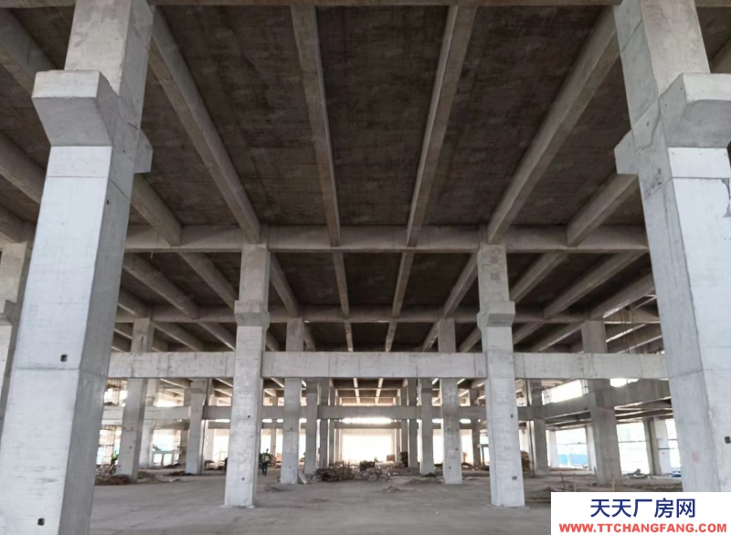 單層框架廠房 層高12.5米 獨立庭院 大車暢行 首付2成