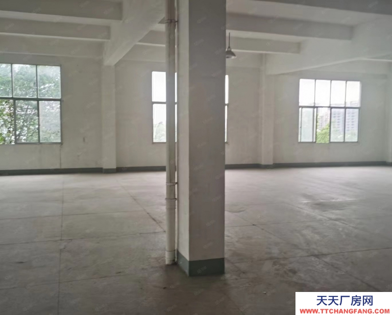 單層框架廠房 層高12.5米 獨立庭院 大車暢行 首付2成