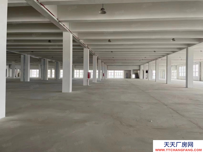 單層框架廠房 層高12.5米 獨立庭院 大車暢行 首付2成