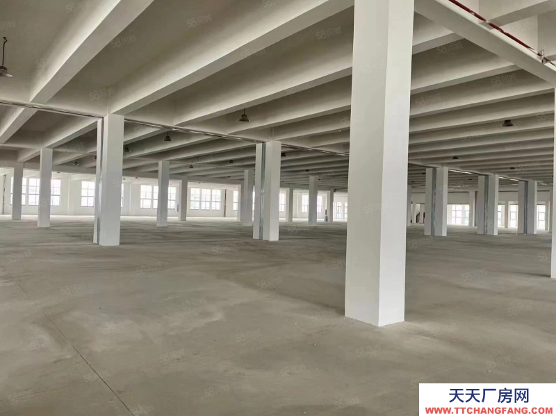 單層框架廠房 層高12.5米 獨立庭院 大車暢行 首付2成