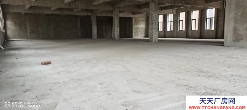 兩湖新區(qū) 框架結(jié)構(gòu) 單層火車頭 獨(dú)棟廠房出售！！！