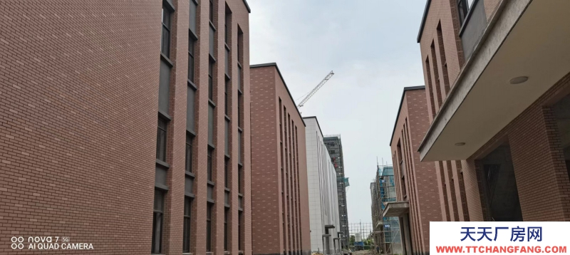 園區單層12米層高框架結構入園辦證廠房對外出售