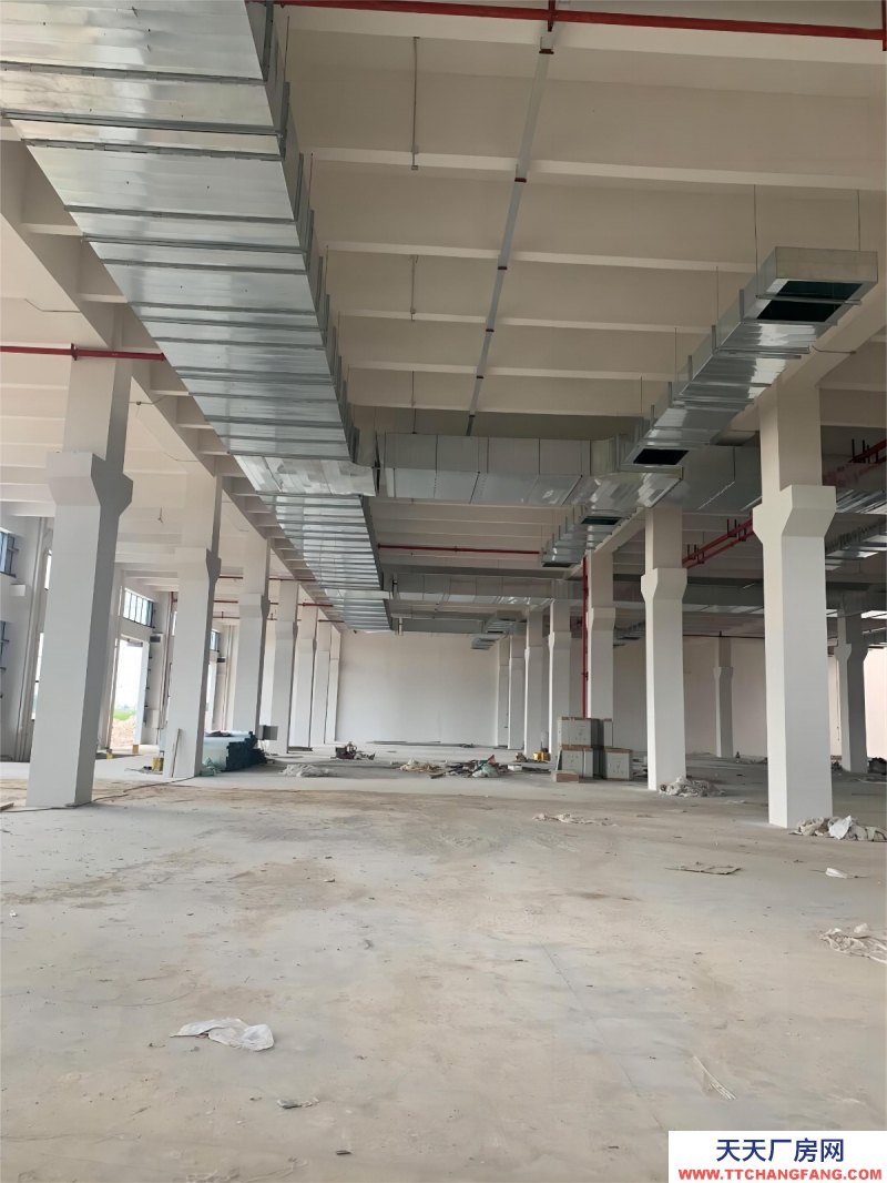 無錫周邊單層廠房 高12.5米 獨立庭院 入園即可辦證 可定制