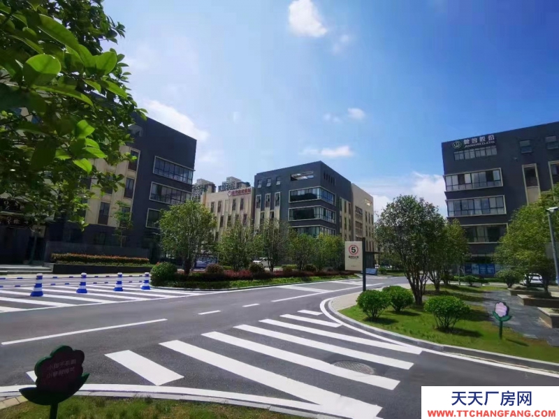 獨戶現房-廬陽區-高端都市產業園