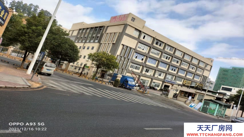 東莞市清溪鎮２７２１平方獨立產權雙拼辦公樓出售