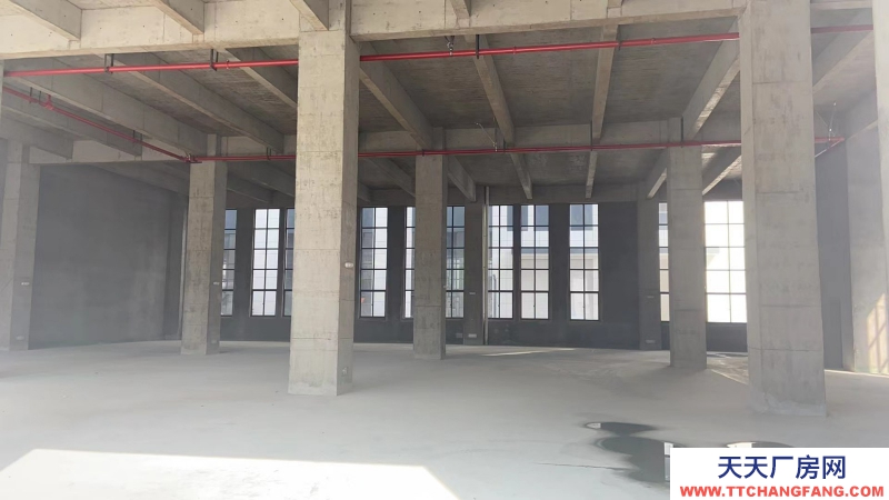 單層12米層高無基礎(chǔ)電費(fèi)入園辦證廠房對(duì)外出售