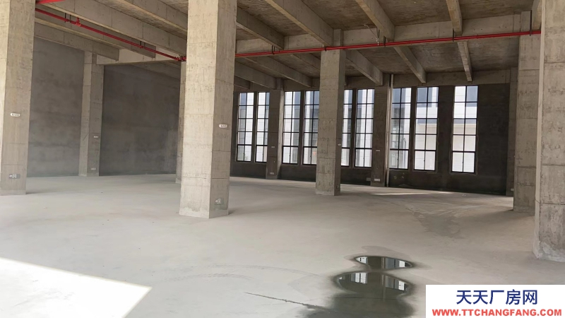 金壇南單層12米層高廠房對(duì)外出售