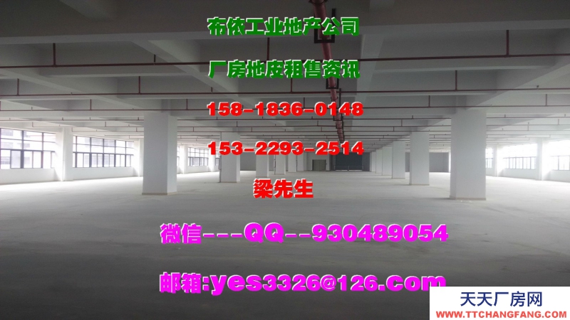 廣東省東莞市常平鎮(zhèn)４００００平方獨(dú)棟倉庫出租