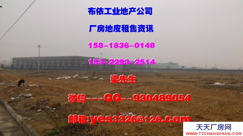 東莞鳳崗鎮４２０００平方五星干倉物流倉庫出租