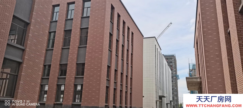 層高12.5米單層廠房出售 交付辦證 可定制