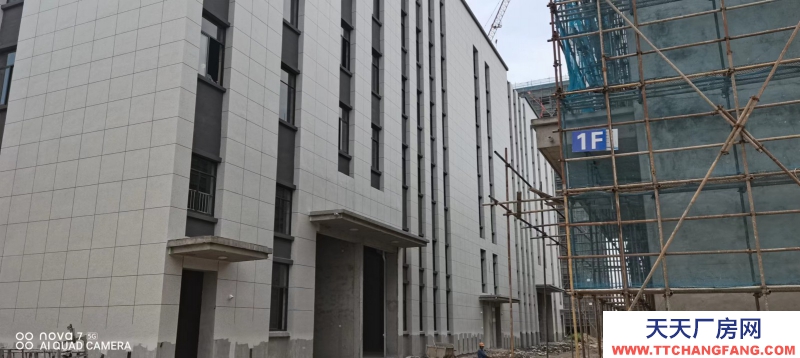 首付兩成起50年獨立產權單層廠房出售 入住辦證