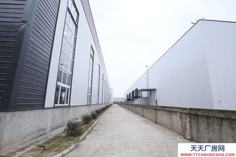 成都食品廠房出租，單層鋼結構，5000平，可分租，無稅收要求