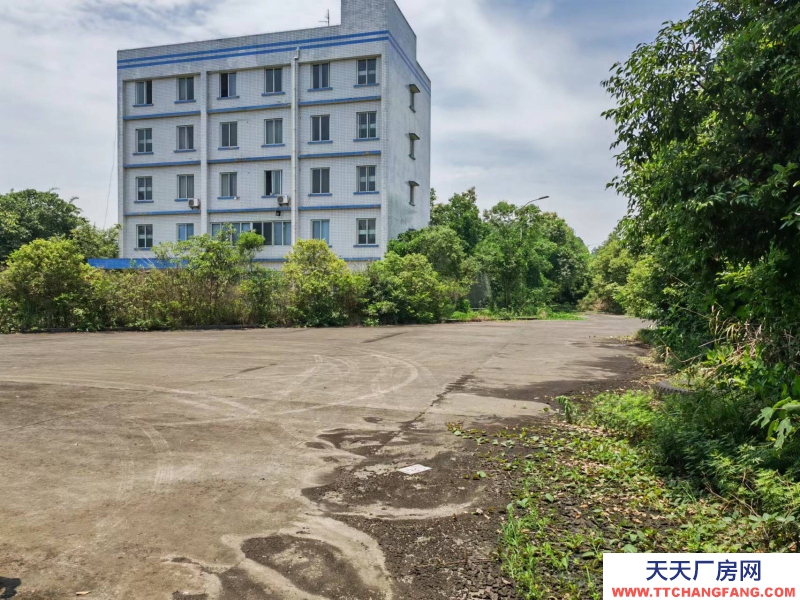 可分開出售宜賓標(biāo)準(zhǔn)工業(yè)廠房 ,工業(yè)工地,谷底價(jià)位!