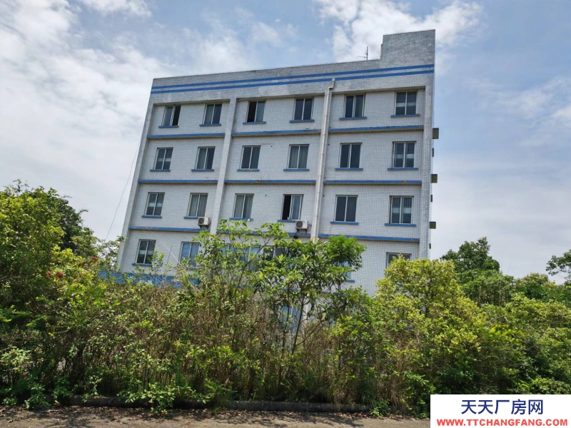 出售宜賓工業(yè)倉庫 工業(yè)廠房  價位低