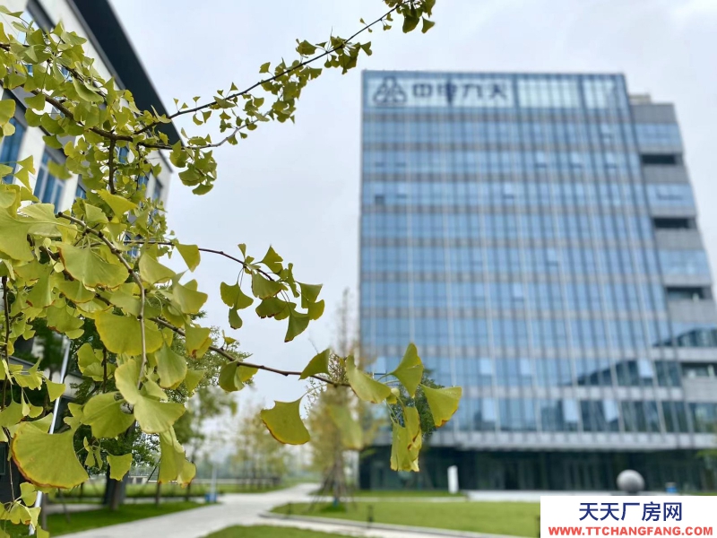 政府平臺科創(chuàng)空間,孵化總部,政策補貼,100起