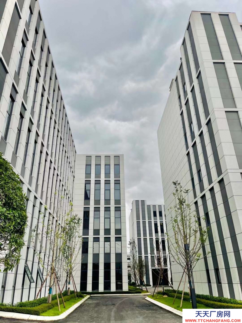 汽車城板塊，覆蓋中和新川