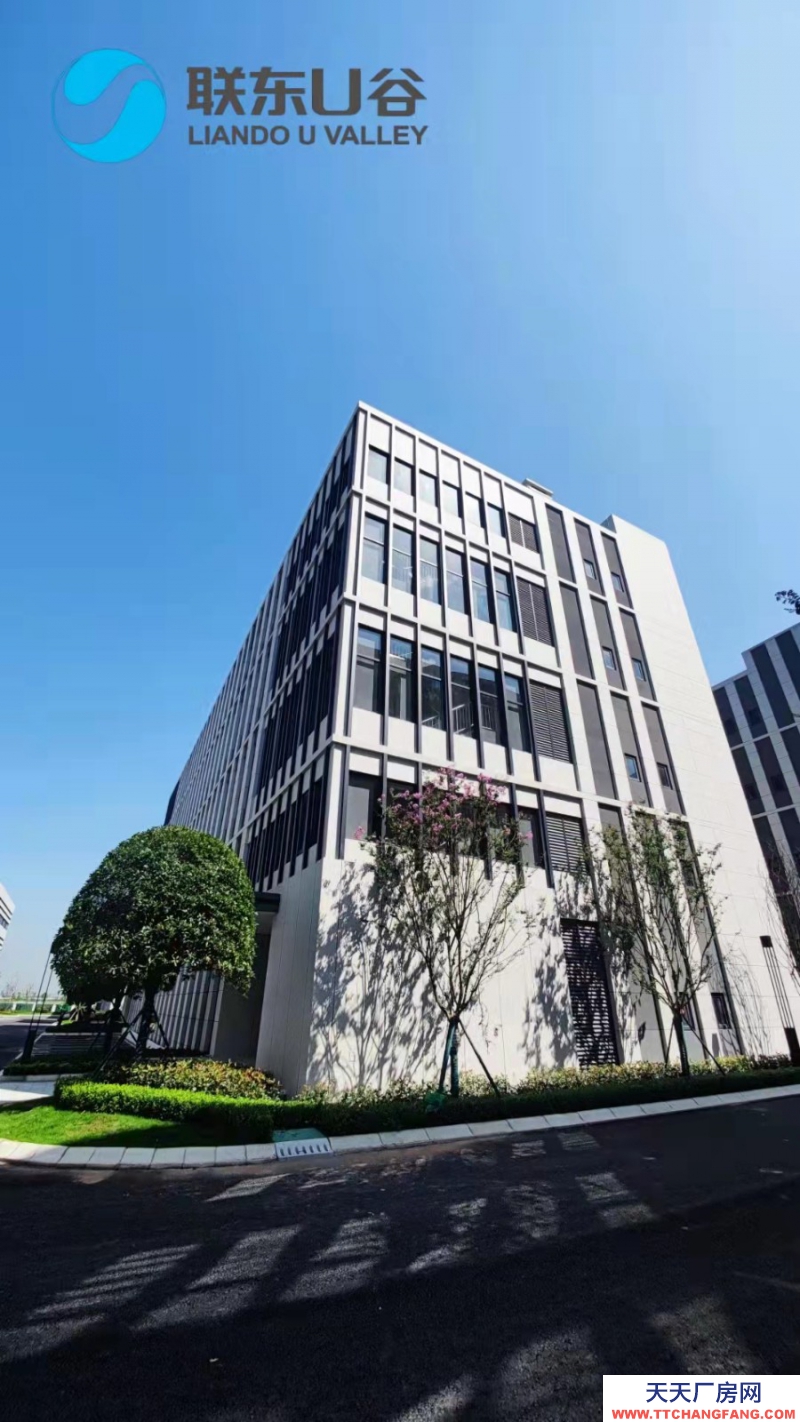 汽車城板塊，覆蓋中和新川