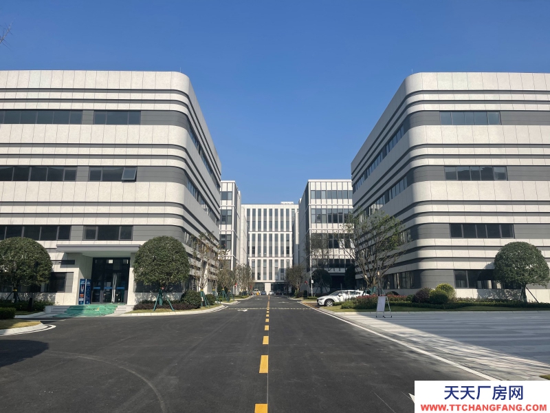 汽車城板塊，覆蓋中和新川