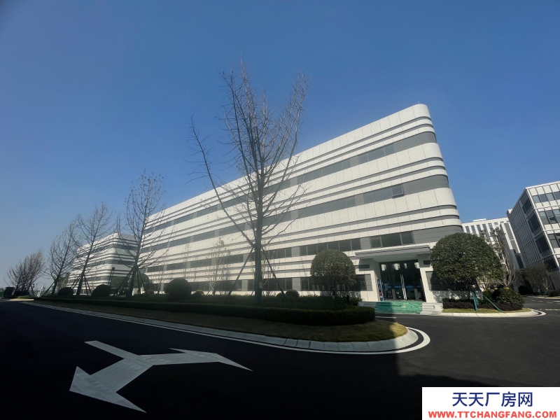 汽車城板塊，覆蓋中和新川