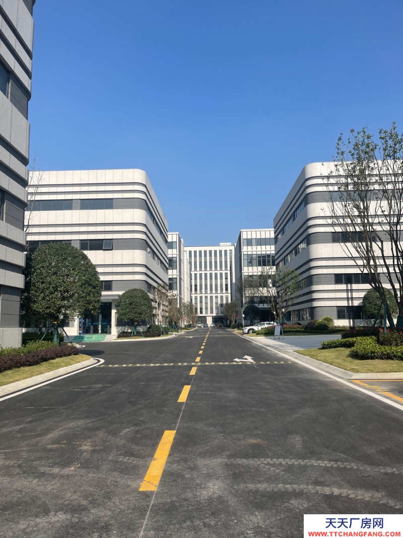 汽車城板塊，覆蓋中和新川