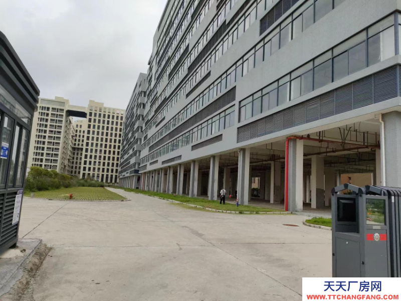 前2個(gè)月免租金！中山翠亨新區(qū)廠房出租，每平15元，深中通道旁