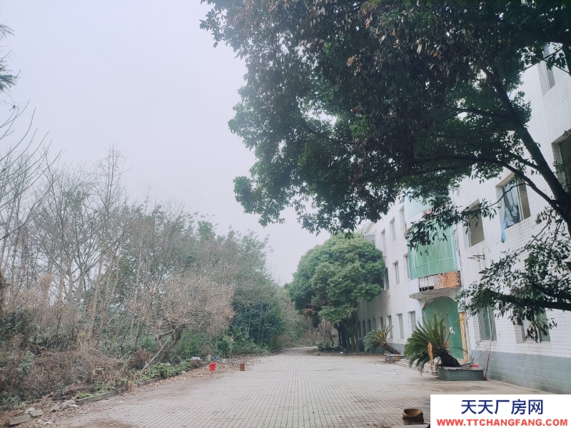 近工業大道獨院廠房直租