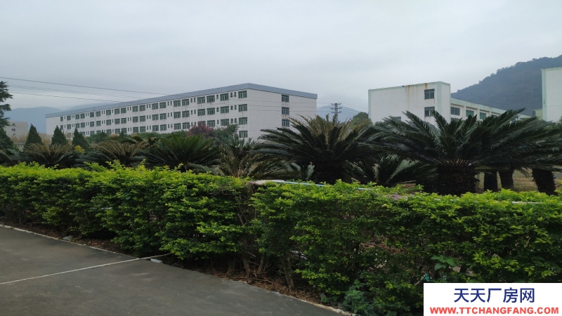 東莞市清溪鎮(zhèn)18000平方米雙層物流倉(cāng)庫(kù)出租