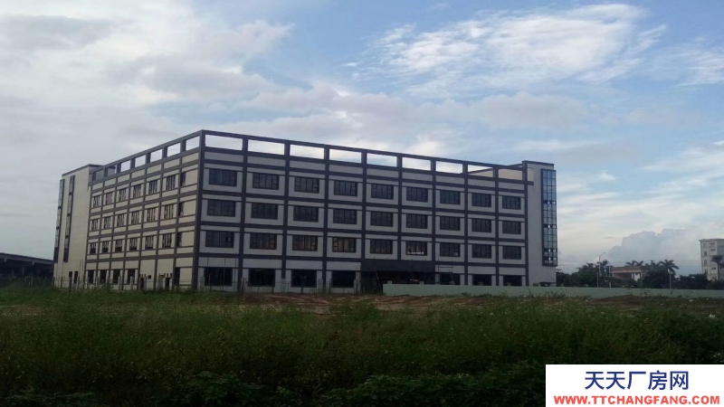 東莞市鳳崗鎮(zhèn)18000平方米現(xiàn)成冷凍倉庫出租