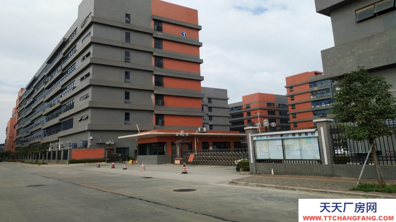 東莞市鳳崗鎮(zhèn)18000平方米現(xiàn)成冷凍倉庫出租