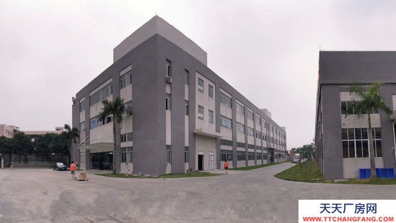 廣東東莞市石排鎮２４０００平方一二樓倉庫出租