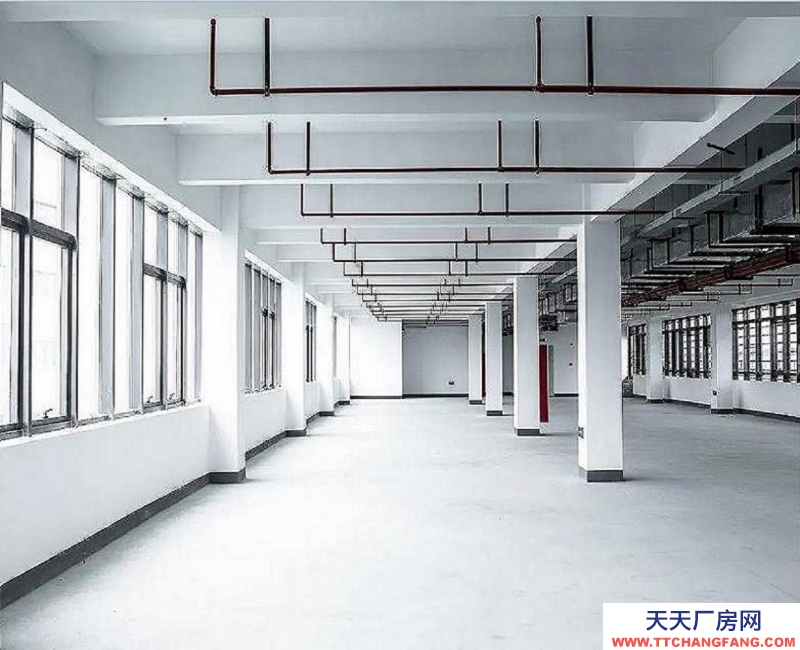 出售杭州全新獨棟廠房,只售3000多,高速輕軌環繞,生活配套齊全