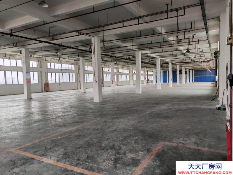 園區標準廠房三樓1930平方米出租