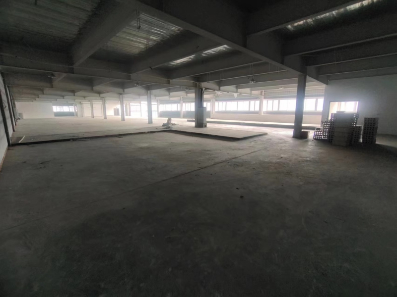 龍泉區多層數鋼結構廠房 水電氣全通 帶貨梯 衛生間