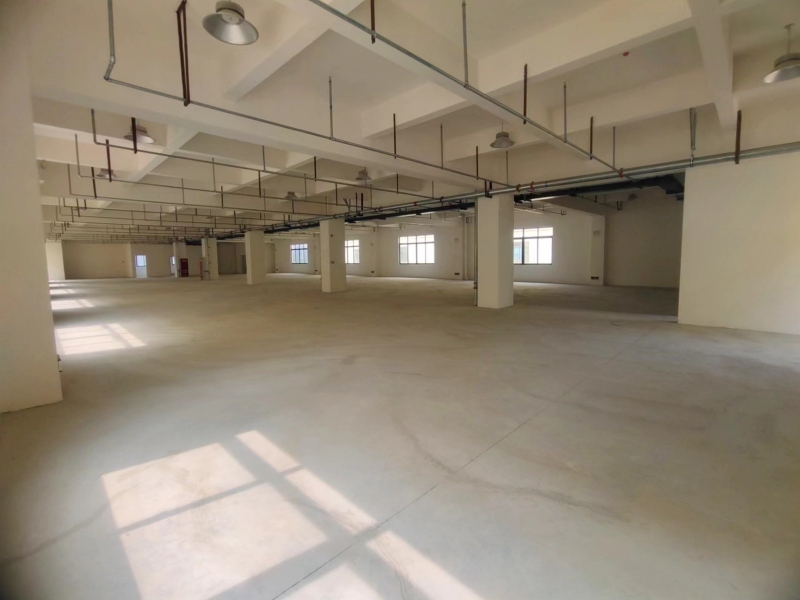 龍泉區全新框架廠房 帶貨梯 帶衛生間 可分租