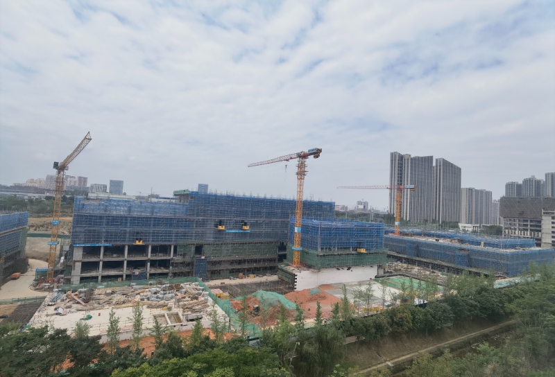 新園區(qū)，獨棟開發(fā)商直租，50年工業(yè)產(chǎn)權(quán)可以辦理全資質(zhì)，可建立實驗室