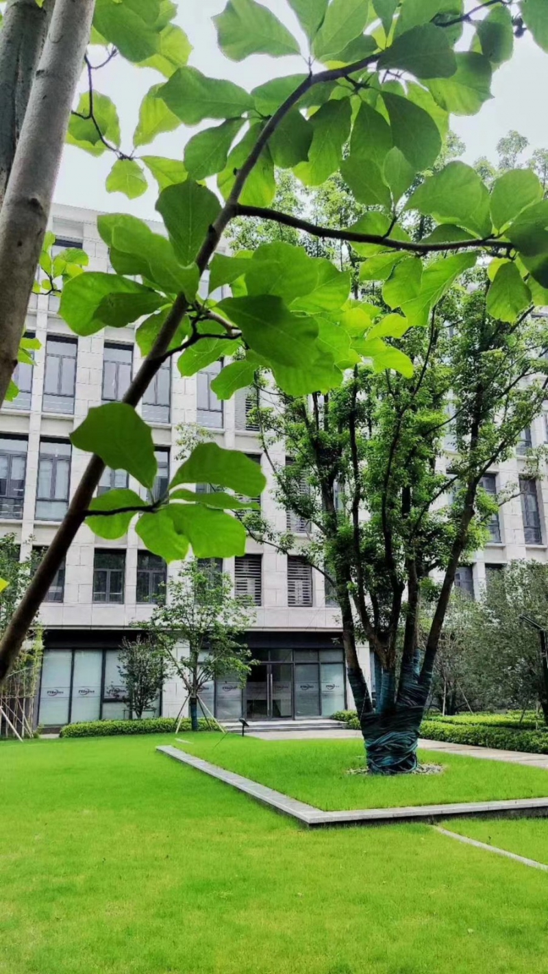 天府新區(qū)視高S5號線旁 50年產權廠房招商 1100平起獨棟 贈送面積大 得房率最高120%