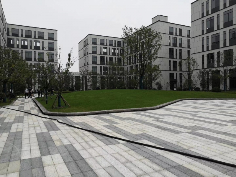 天府新區(qū)視高S5號線旁 50年產權廠房招商 1100平起獨棟 贈送面積大 得房率最高120%