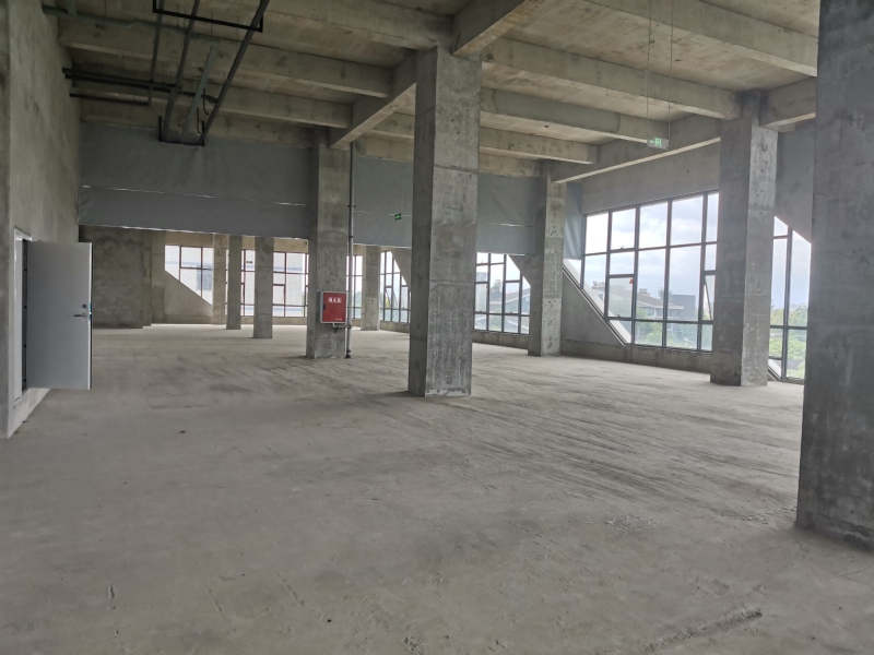 全新框架結構醫藥食品廠房出租