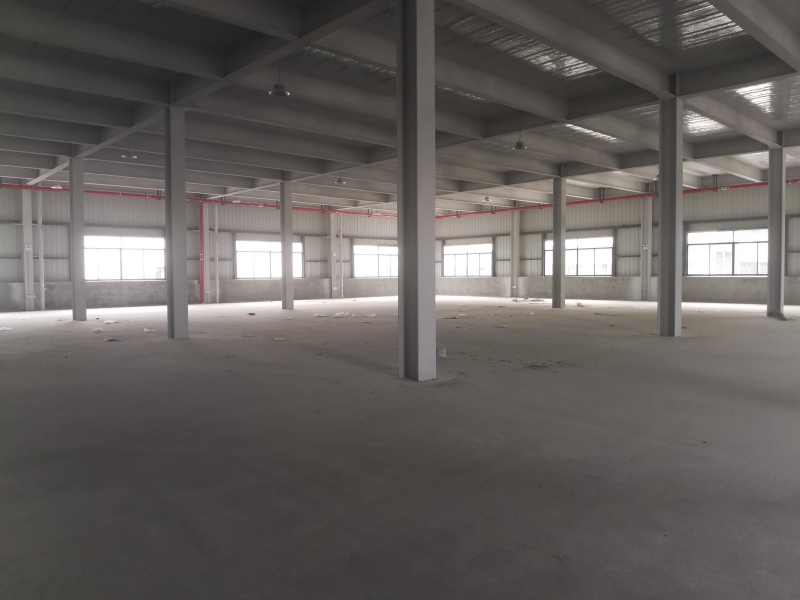 全新鋼結構廠房出租，可做醫藥生產和食品加工。