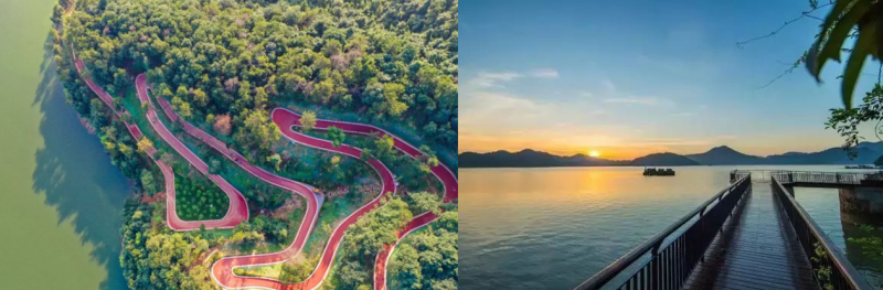 墅級獨棟廠房！50年產權可分割，就在青山湖科技城