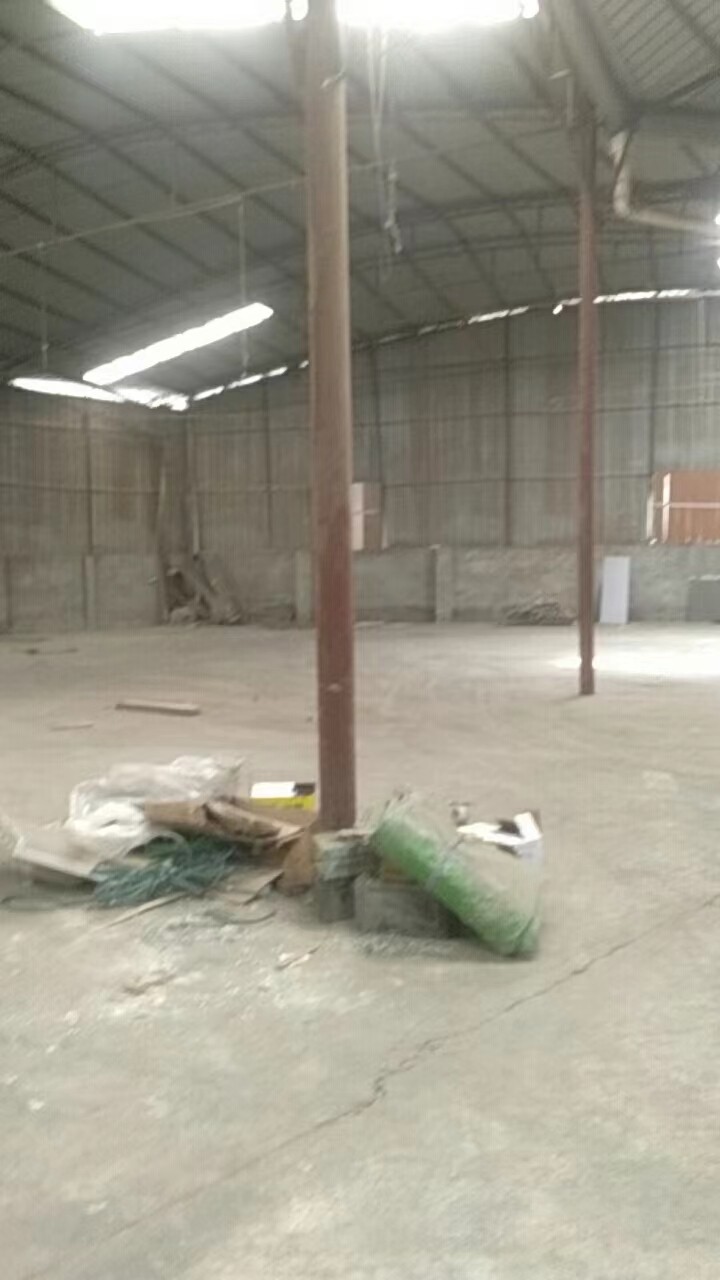 新都龍橋渭水，1600平廠房房東直租