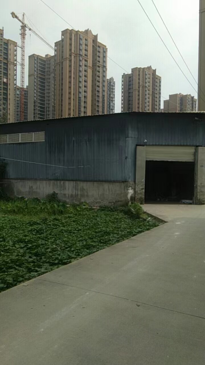 新都龍橋渭水，1600平廠房房東直租