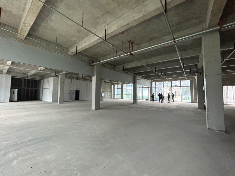 非中介!溫江城區,獨門獨院,可享受補貼,臨地鐵,大面積可分割