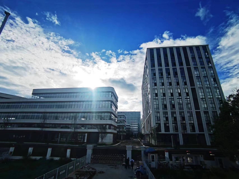 遙遙領先，高新西電子信息產業園，最小面積600平，全新多層