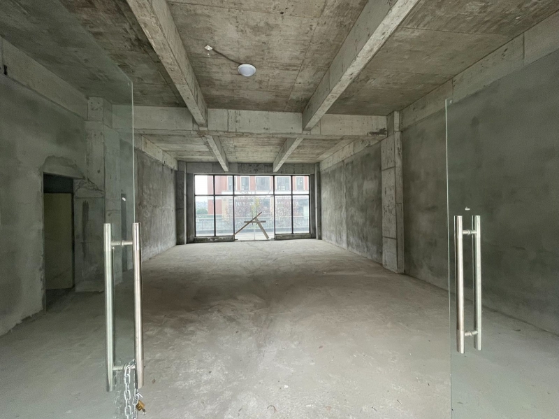 高新西區(qū)小獨棟，500起租，1000，,2000，工業(yè)用地