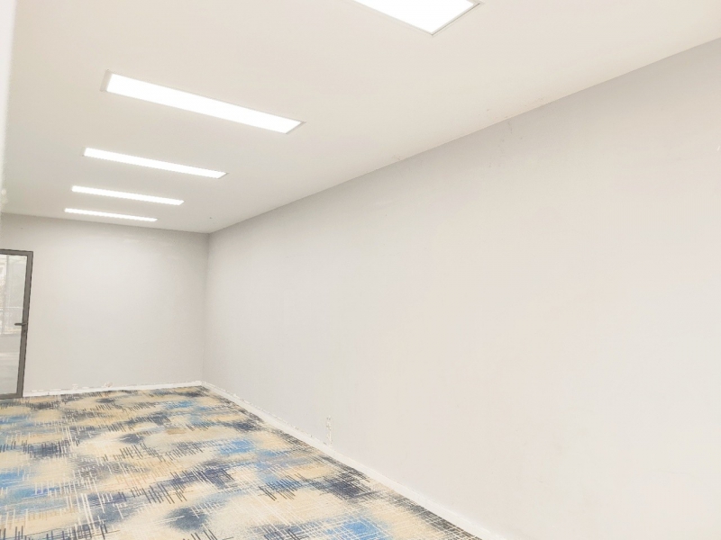 成都高新·地鐵上蓋·低密花園輕奢辦公，精裝660平小獨棟